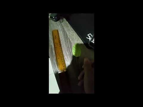 Final Project Statistika