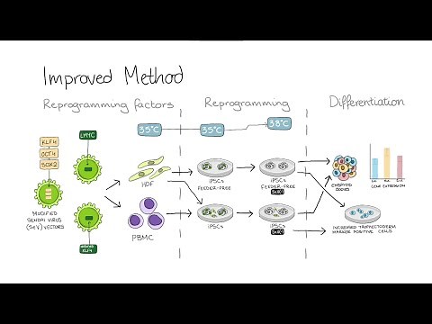 Growing Stem Cells