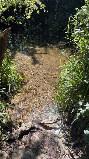 John Rogers on Instagram: "A walk along the River Wye from High Wycombe to Wooburn in Buckinghamshire"
