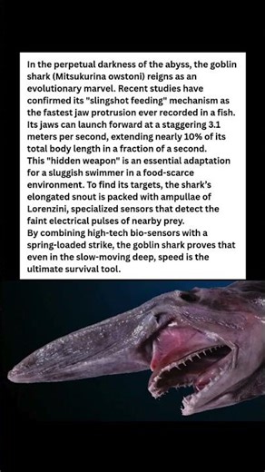 ALIVE FROM THE ABYSS! 🦈 The Shark with a Spring-Loaded Face! 🚀 #wildlife #facts #shorts
