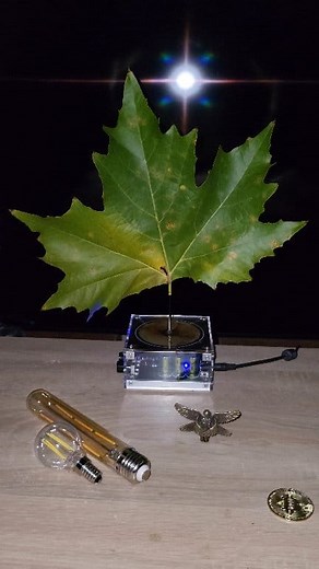 31K views · 24 reactions |  Lesson 25: lightning mutation leaf #experiment #plant #teslacoil #physics | Life Tesla Coil | Facebook