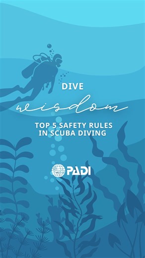 Staying safe is what keeps diving fun 🤿 These are the top 5 safety rules every diver should know, whether you’re just starting out or logging your hundredth dive. A few simple habits make a big difference underwater, from planning ahead to staying aware of your limits and your buddy. ⭐️ Bonus tip: Continuing your education with PADI courses helps sharpen your skills, build confidence, and make every dive safer and more enjoyable. 🤿 IG 'the_scubacouple' #DiveWisdom #DiveSafety #ScubaDiving #Scu