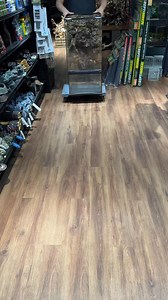 943K views · 4.8K reactions | How to make a background for a paludarium with a water feature. I used a ZooMed 18x18x36” paludarium for this build. Materials used were silicone, pond & stone foam, corkbark, mopani wood, spagnum moss, & coco fiber. I’ll post a full tutorial when it’s ready. #everevolvingexotics #reptileshop #tucson #arizona #zoomed #paludarium #terrarium #bioactive #plantedtank #reptiles #waterfall | Ever Evolving Exotics | Facebook