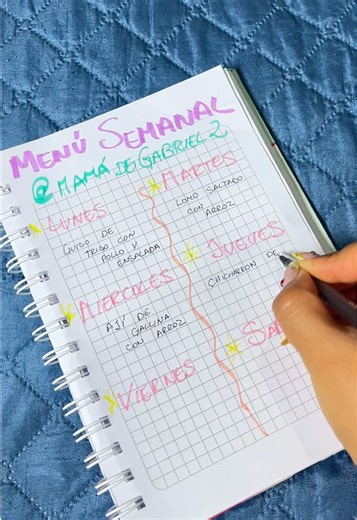 Menú Semanal: Ideas de Almuerzos Deliciosos
