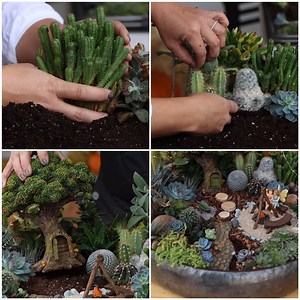 3M views · 5.6K shares | Let's make a charming fairy garden with succulents & cacti! | MetDaan Tips | Facebook