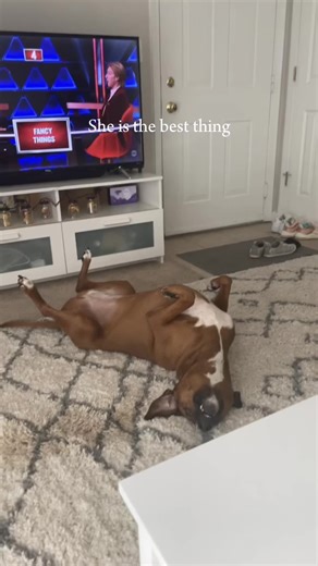 Zoe✨🤍 (@zoebloomxo2)’s videos with original sound - Zoe✨🤍