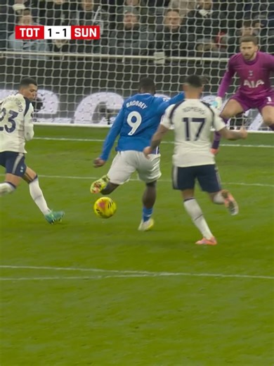 Tottenham vs Sunderland: Premier League Highlights 1-1