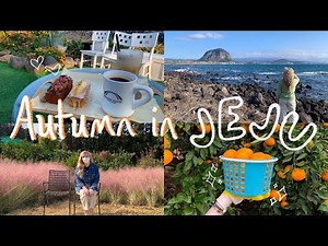 Autumn in Jeju 🍊 Cafes, Tangerine Picking & Moomin Land! | Life in Korea Vlog