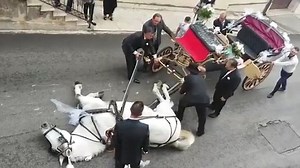 Horse collapses from heat exhaustion while carrying bride