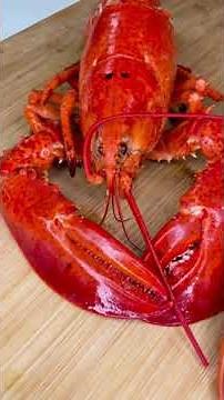 Astuce La Mer : comment cuisiner votre homard vivant à la maison