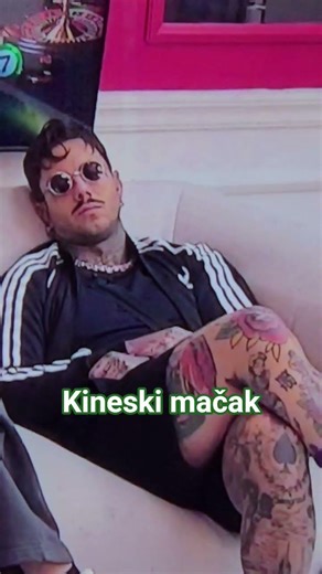 ZAŠTO STANIJA PODSEĆA NA KINESKOG MAČKA