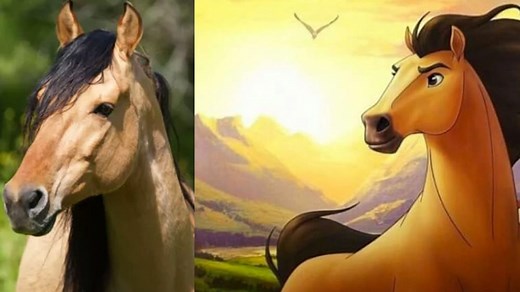 Spirit: un caballo e historia reales - Blog de Hípica y Equitación