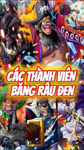 Các thành viên Băng hải tặc Râu Đen #onepiece #anime #op #blackbeard #animeshorts #shorts #luffy
