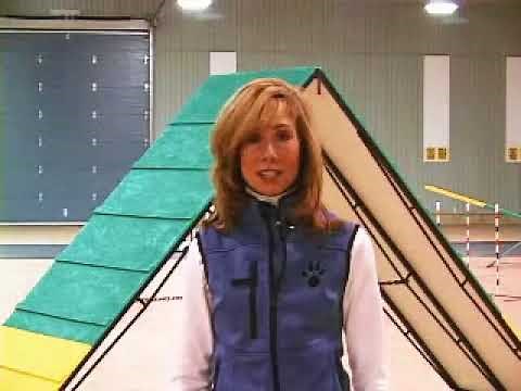 "Move It!" Agility A-Frame Mover
