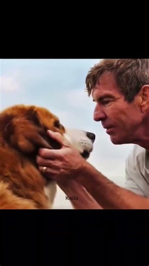 “Why Did This Scene Break Everyone...🥺?” | A Dog's Purpose | Friendships #shorts #viral #edit