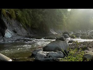 20 Minute Meditation for Inner Peace and Relaxation Best Mindful Meditation Created 4K Powerful