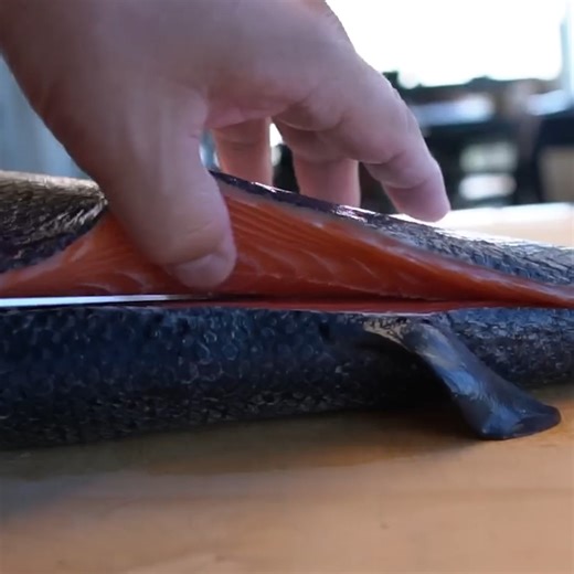 10K views · 79 reactions | How to CUT & CLEAN a Fresh Salmon  | Hiroyuki Terada - Sushi Master | Facebook