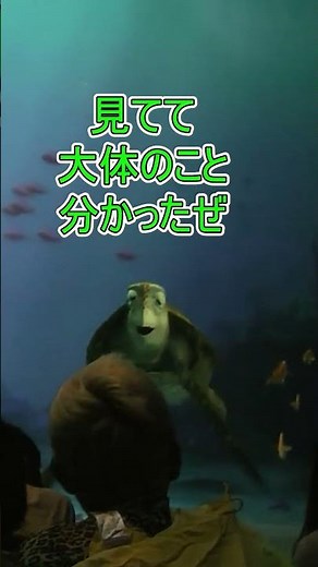 3歳！【タートルトーク】東京ディズニーシー