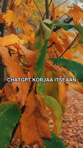 Tällä tavalla ChatGPT:stä tulee oikeasti hyödyllinen