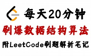 翻遍整个B站，这是我见过最全最牛的LeetCode算法教程视频，整整1000集，零基础快速入门！