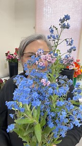 23K views · 460 reactions | True Blue. Chinese Forget Me Nots. Cool Flower. Comment COOL and I’ll DM the resources including my seed shop. #coolflowers #chineseforgetmenot #springflowers #gardenersworkshopfarm | The Gardener's Workshop | Facebook