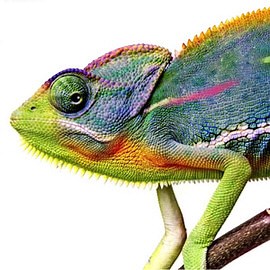 How to Use Hue/Saturation in Photoshop