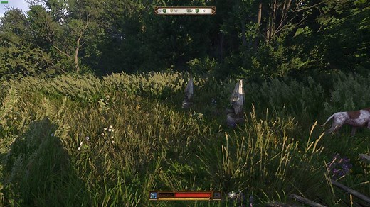 How to get honey in Kingdom Come Deliverance 2 - VideoGamer