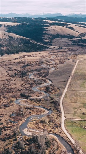 1.2K views · 39 reactions | Master Nymph on Reels | Facebook