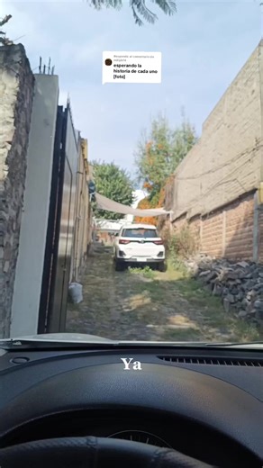 Respuesta a @milipb14 Parte dos y la historia de Pepa o pepis pa los amigos 🫰🏻🫰🏻💞💞🐶🐶🐶🐶 #rescateanimal #dog #perros #adopcion #adoptanocompres