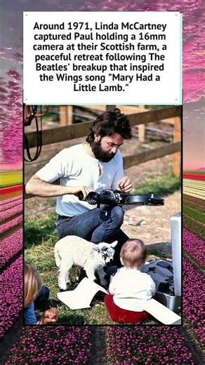 Paul McCartney’s Scottish Retreat (1971) 🐑