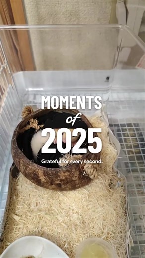 #2025まとめ 勝手にこんなん出て来た👀💦 ビックリ🫨凄ーい💕