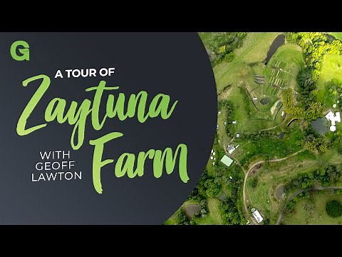 Theory in Practice: A Tour of Zaytuna Farm