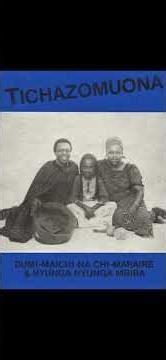 THE ZIMBABWEAN MBIRA INSTRUMENT #musichistory #mbira #zimbabweanmusic #africaninstrument