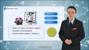 6. 病毒的形态与结构