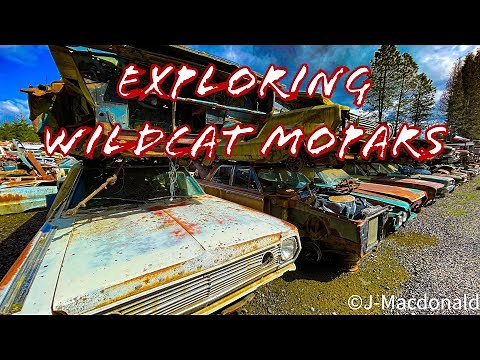 EP 54 Exploring Wildcat Mopars wrecking yard. Hundreds of Dodge & Plymouth project and parts cars