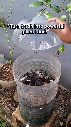 Turn Organic Waste Into Free Fertilizer for Faster Plant Growth #OrganicGardening