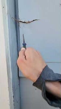 Exterior Inspection with Crunchy steps