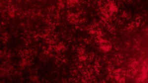 Abstract Dark Red Background Animation Animated Stock Footage Video (100% Royalty-free) 3722840377 | Shutterstock