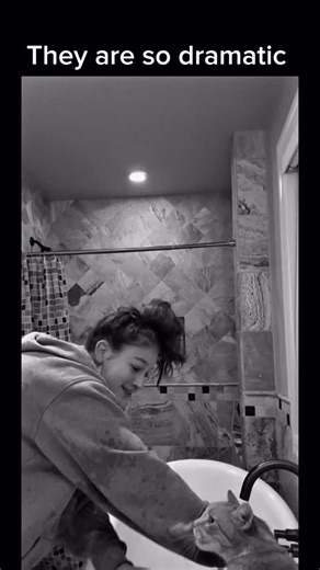 MemeSurgence on Instagram: "Do cats need a bath? - - #funny #cats #fyp #memes"