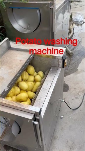 #Potato Cleaner # Mechanical Equipment # Potato peeling machine