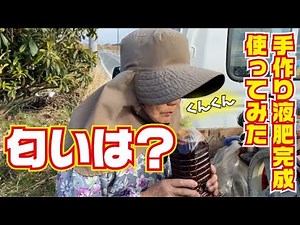 【手作り有機液肥】手作りの発酵液肥が完成したので使ってみました。