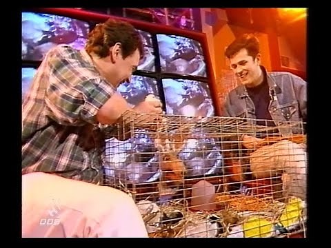 BBC1 | Children's BBC | 1995