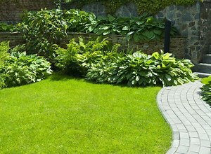 Comment semer un gazon en terre argileuse ? - Gamm vert