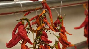 Dried red pepper on a hanger strung on a rope. Red dry hot pepper.