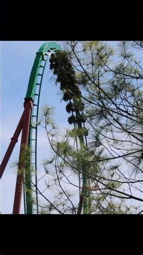 Big loops equal big fun on Medusa ‪@sixflagsgreatadventure‬