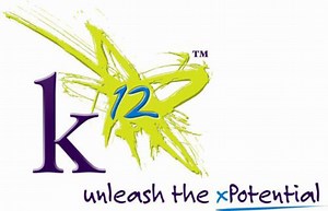 State Stepping in to Delay Virtual Online Learning