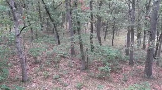 2023 Muskegon Deer Camp. Episode 2 Check us out on YouTube for all of our Deer hunting and other outdoor content! #MichiganOutdoorsReport | Michigan Outdoors Report