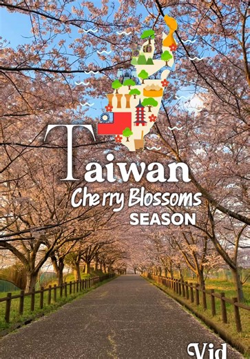 Top Cherry Blossom Locations in Taiwan for 2025