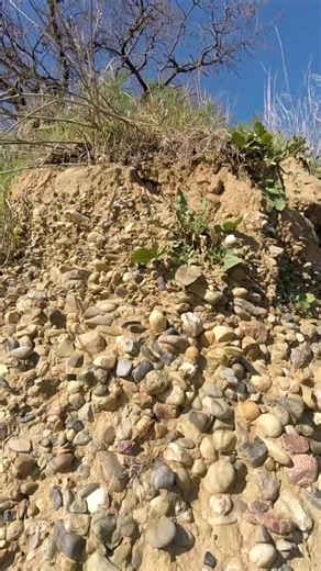 #goldprospecting #goldpanning #f #gold #foryoupage #goldfever #mining | Nature’s Treasure Trail