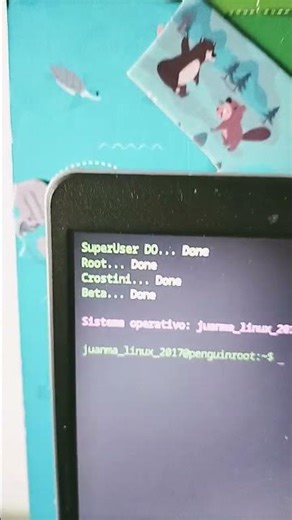 ☠️ #kernel #linux